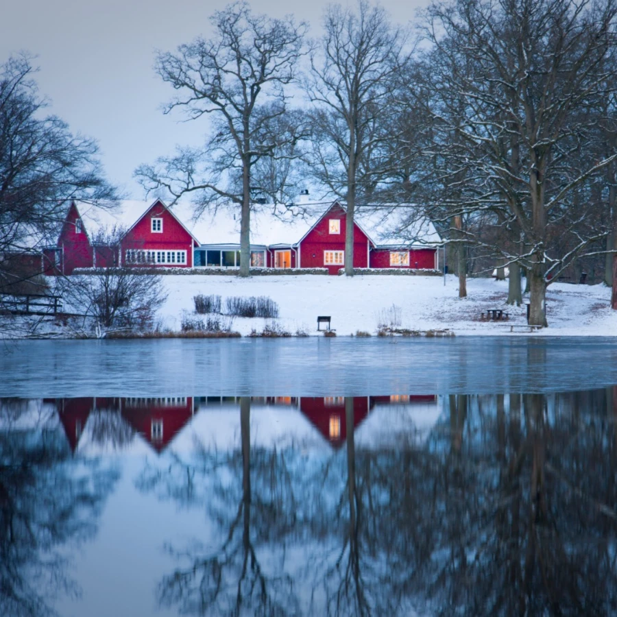 advancedroofingmuskoka 1640698271 2738698033523447277 50030254799